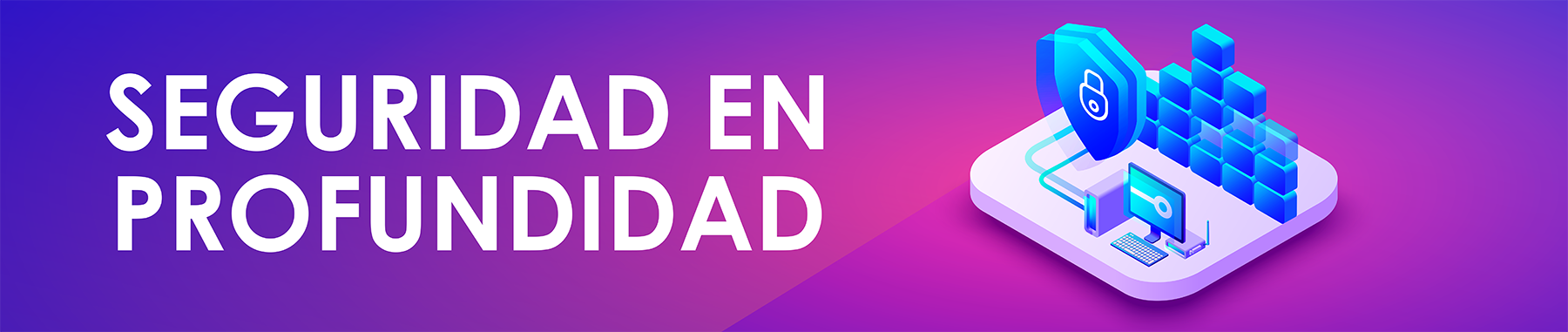 Seguridad en profundidad